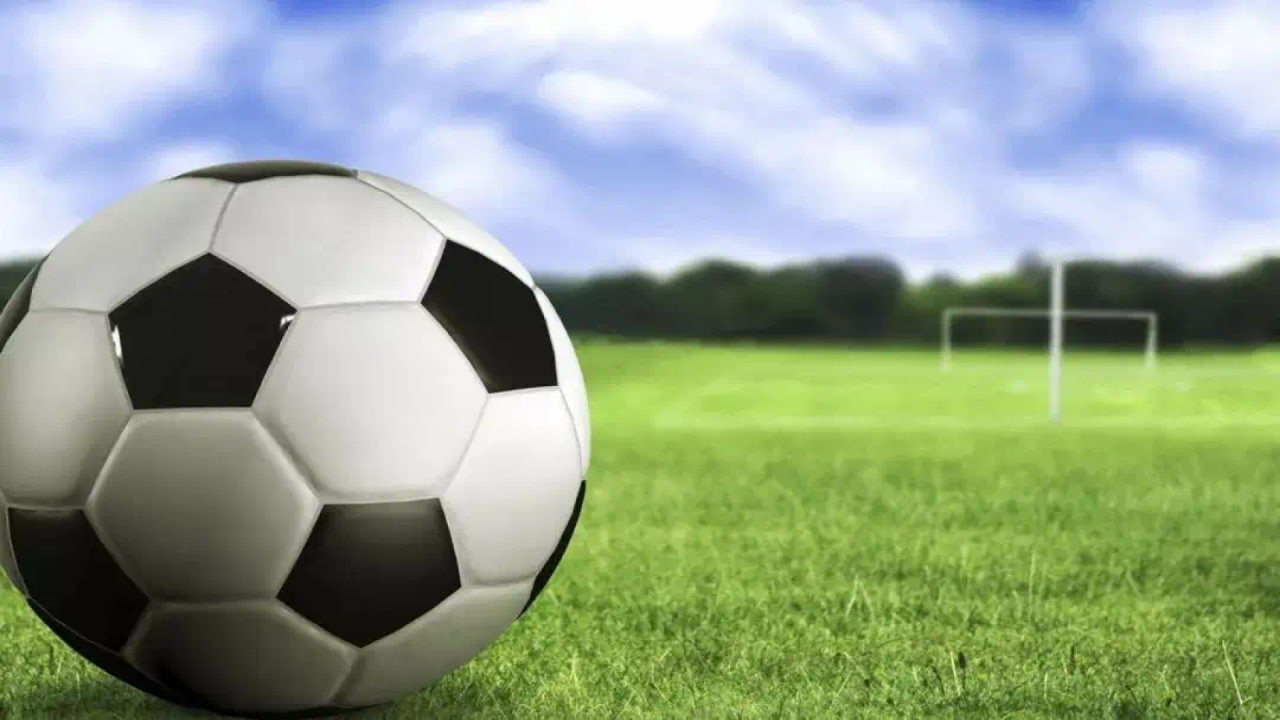 新手用户学习彩票知识